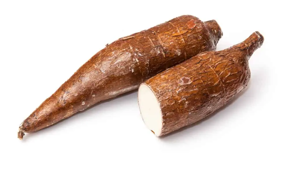 Yuca