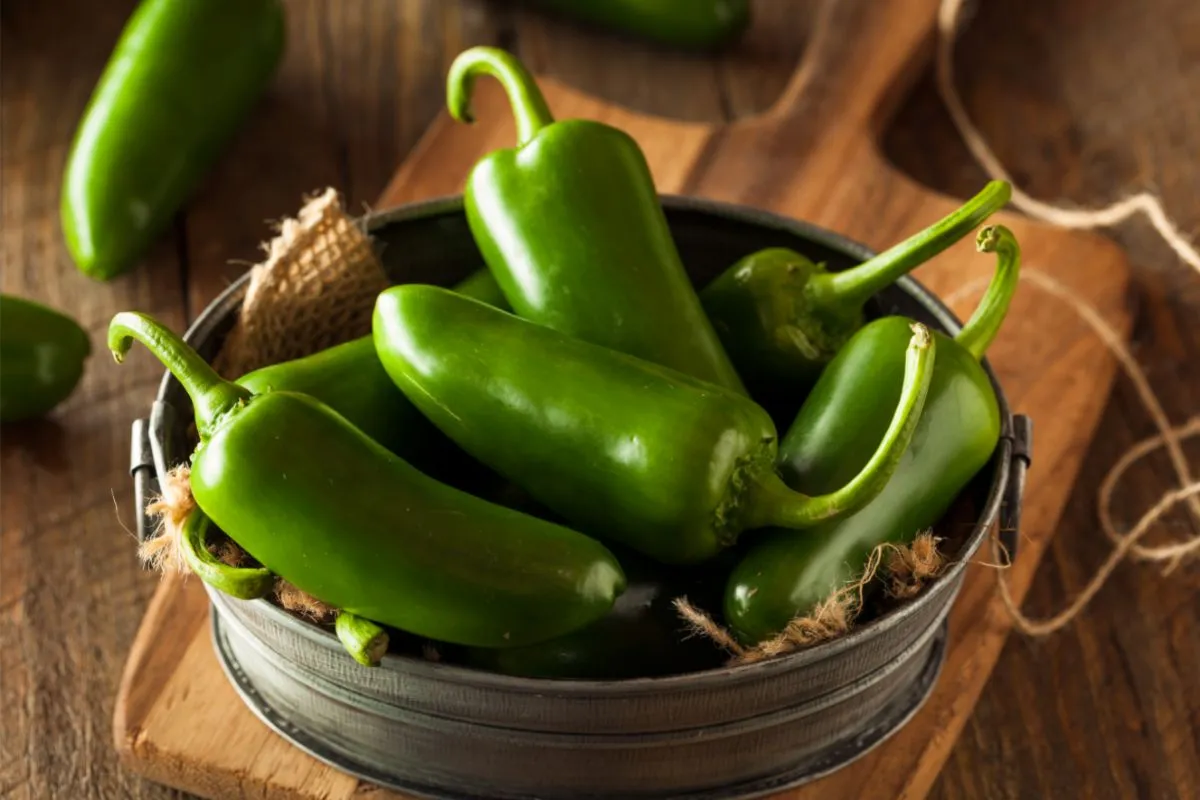 pimientos jalapenos verdes ecologicos